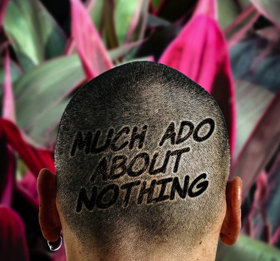 Much Ado About Nothing Image