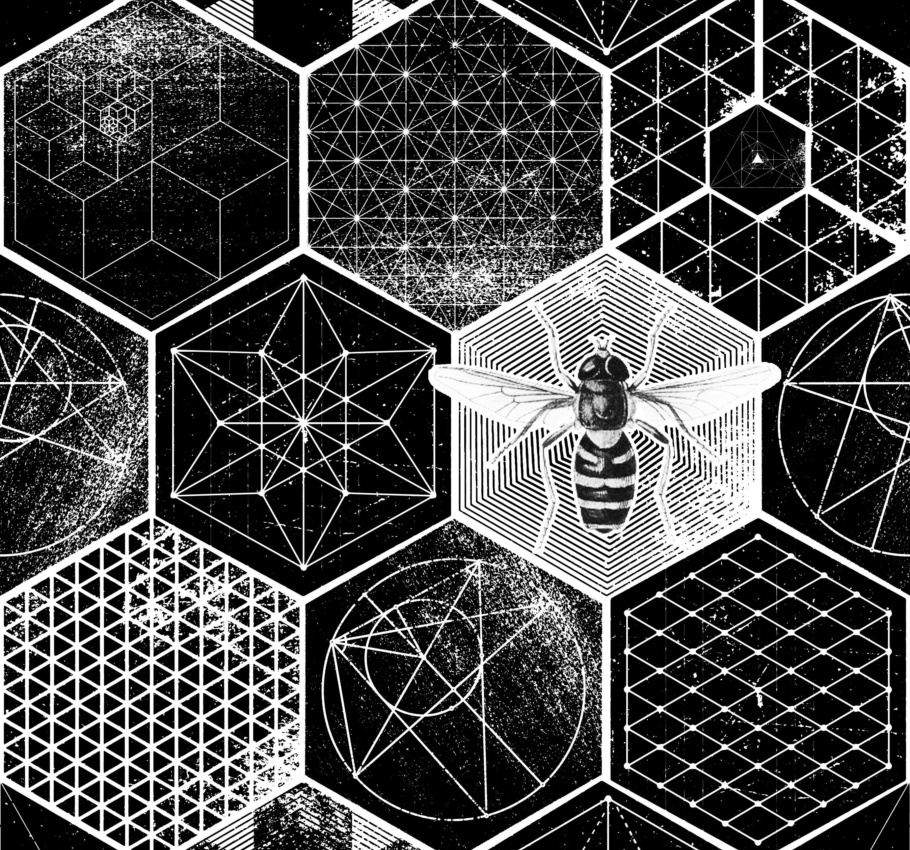 Hexagon conjecture 03